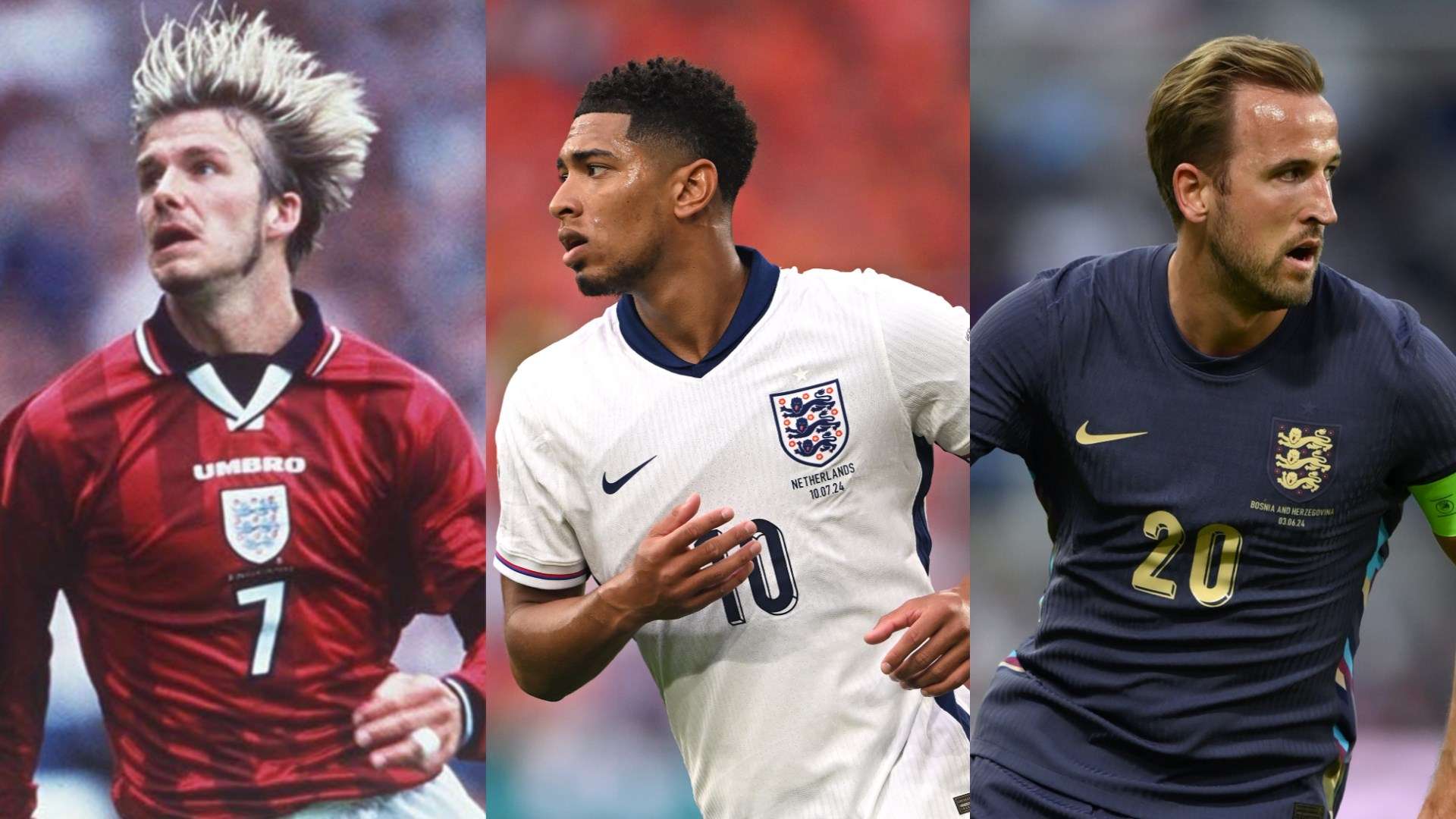 提供了广阔 提供了广阔