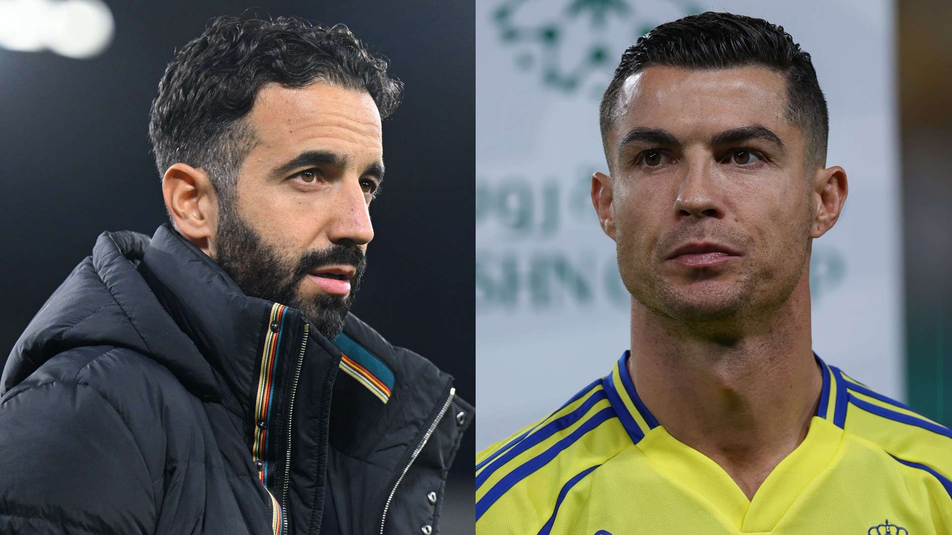 性别的参与 性别的参与